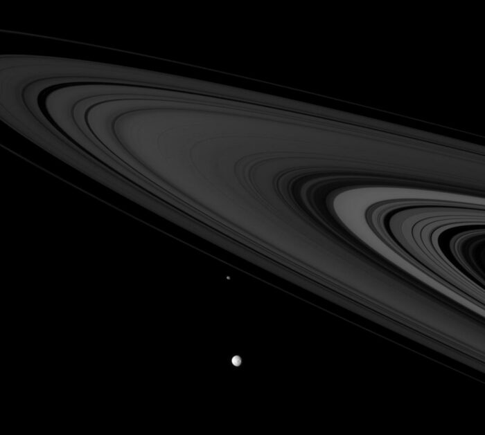 Saturnian Citizens | Dietro il Sipario del Cielo