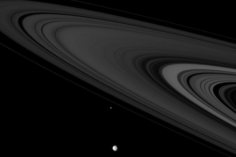 Saturnian Citizens | Dietro il Sipario del Cielo